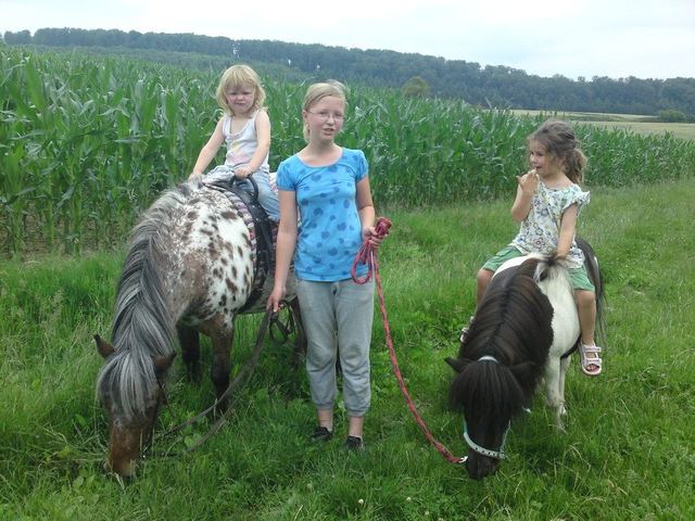 Kinder führen Ponys über einen Feldweg